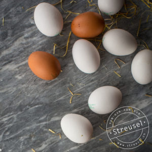 Tipps rund ums Ei – Aufbewahren, Haltbarkeit, Eier-Stempel usw.